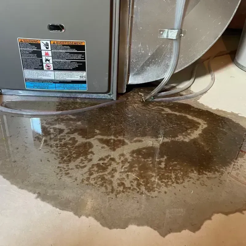 Appliance Leak Cleanup in Macomb, IL